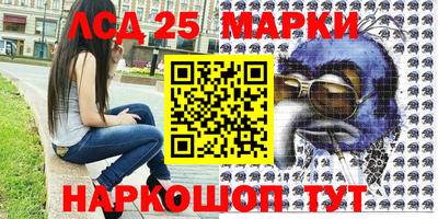 сатива Краснодар