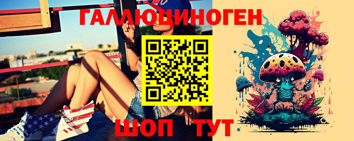 Псилоцибиновые грибы Cubensis Заволжье
